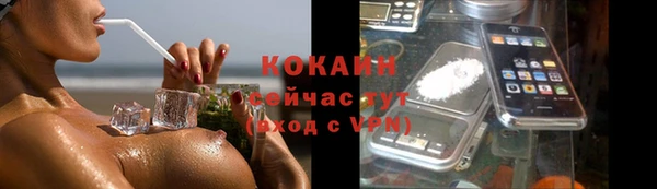 крисы Аркадак