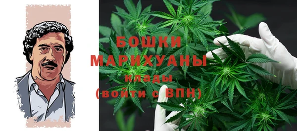 крисы Аркадак
