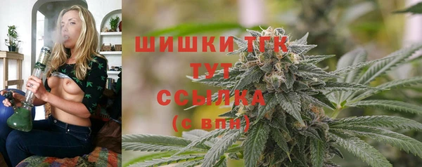 крисы Аркадак