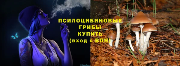 ALPHA-PVP Армянск