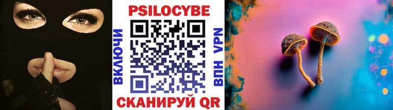 Галлюциногенные грибы Magic Shrooms  закладка  Пустошка 