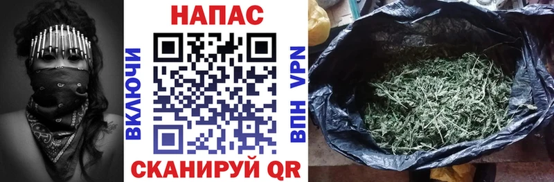 купить наркотики цена  Пустошка  Бошки марихуана план 